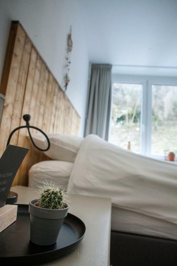 Bed & Breakfast De Plenkert 法尔肯堡 外观 照片